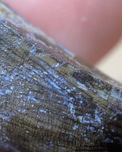 An image of a closeup view of the serrations of a fossilized tooth from a Suchomimus dinosaur.